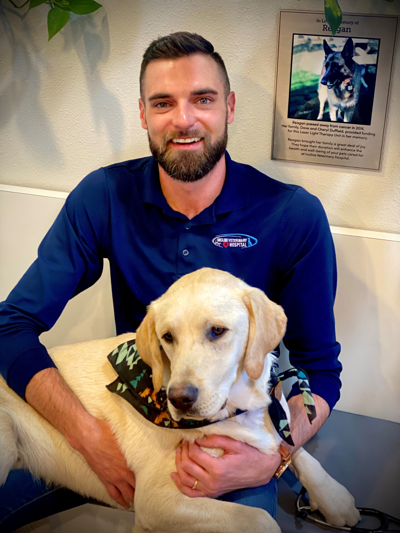 Veterinarian In Incline Village, NV Incline Veterinary Hospital