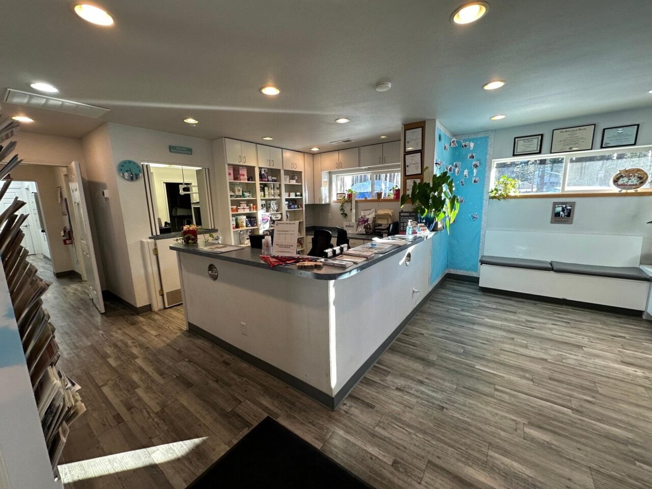 About Incline Veterinary Hospital Vet In Incline Village, NV 89451