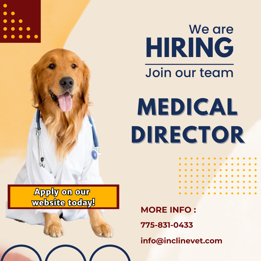 We are hiring medical director graphic, apply on our website today